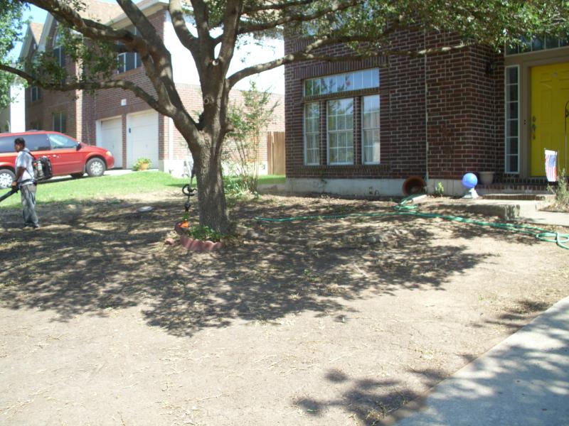 House for sale needed curb appeal